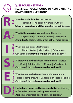 RAISED-pocket-guide.png